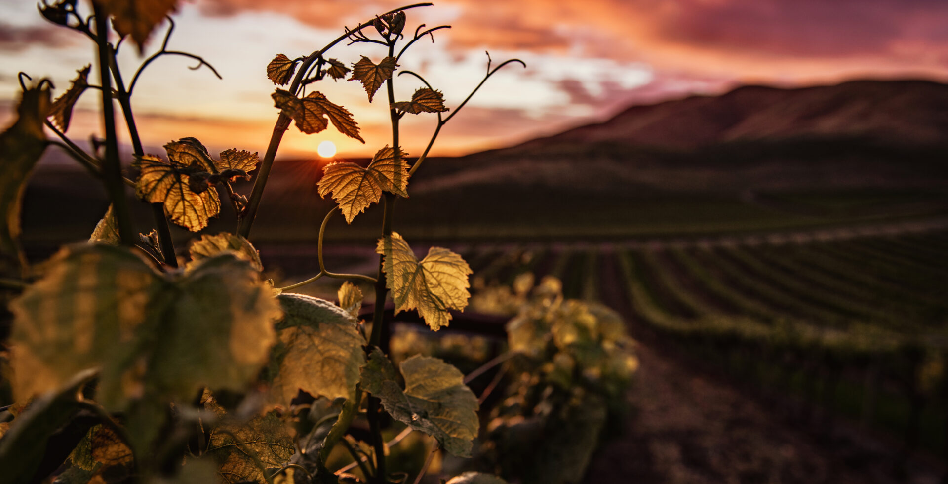 b27b59c22d7b055af464510d9b46739033b8f165