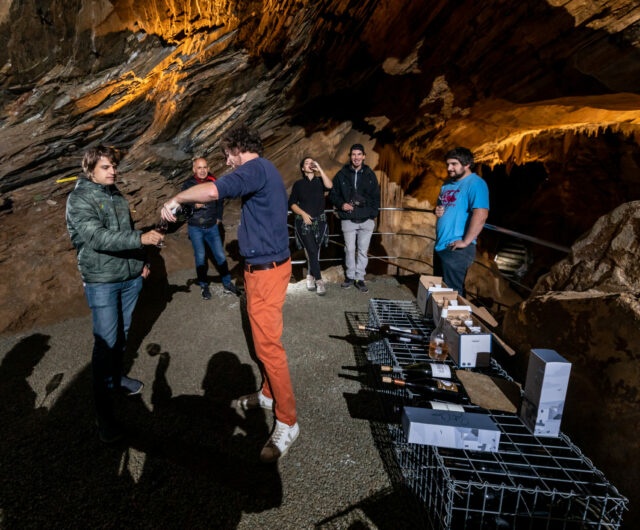 42-Du-Vin-et-des-Stalactites-@Anthony-Allies-1-scaled