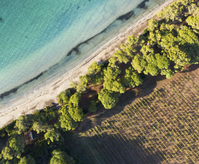 6.destination labellisee VPM- credit HerveFabre