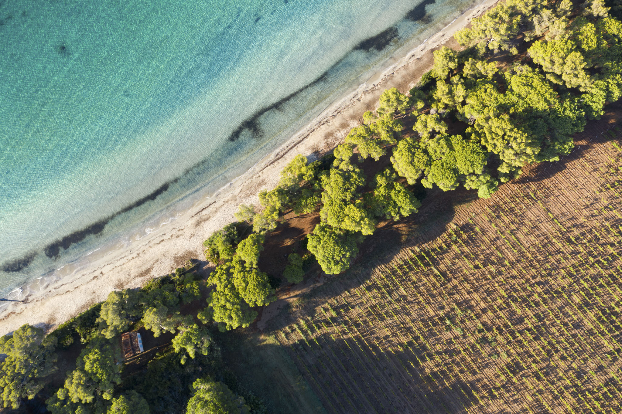 6.destination labellisee VPM- credit HerveFabre