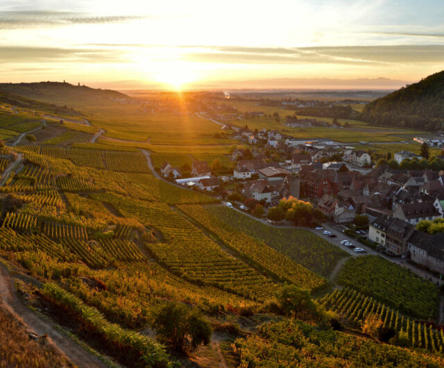Alsace – Balade dans le Schlossberg et dégustation de vins de terroirs