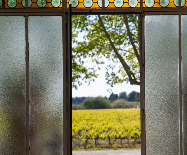 BEAUMETANE VIGNES