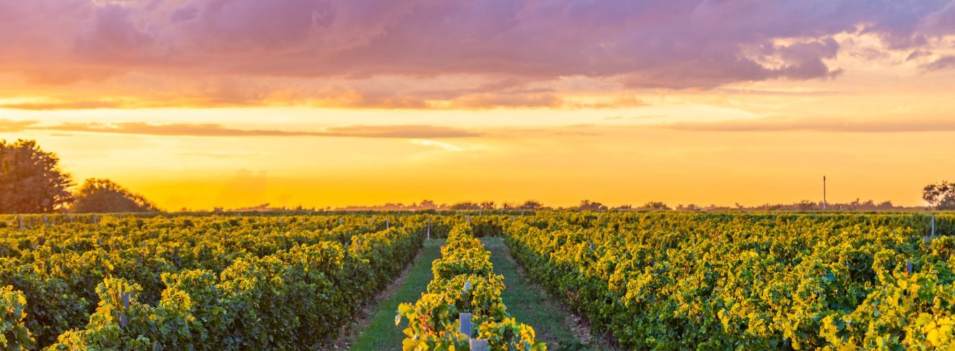 Banniere Oléron@arthurhabudzik