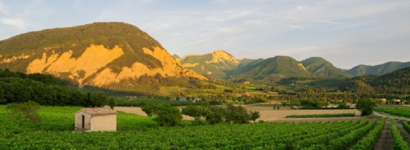 Bannière desti Clairette