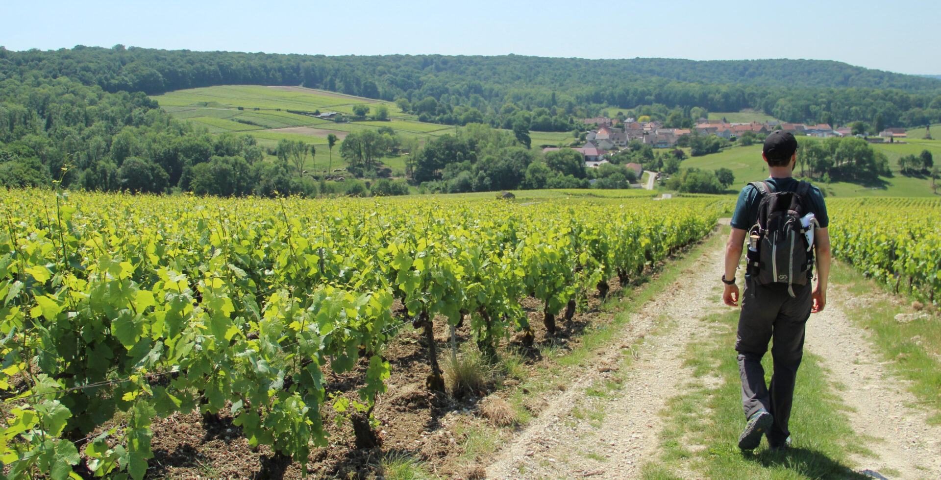 Bannière région Champagne