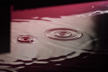 Beaujolais – Domaine des Nuges FabriceFerrer-370×247