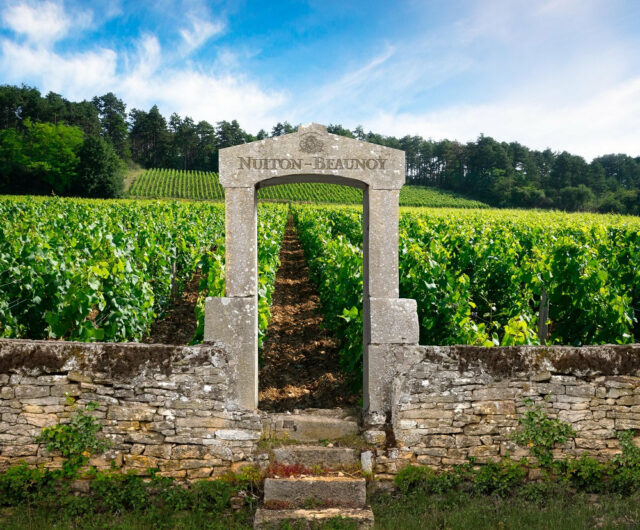 Bourgogne-Jura – Paulée Nuiton-Beaunoy
