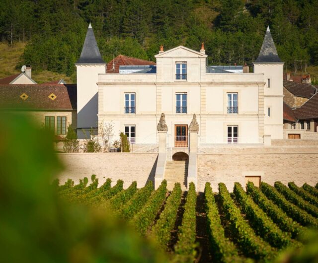 Bourgogne chateau-saint-aubin-vue-face-serge-chapuis-34