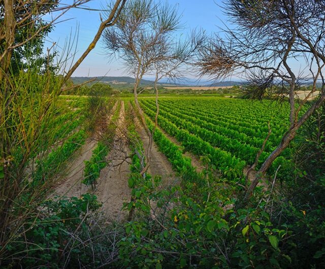 Cevennes mas-des-justes-