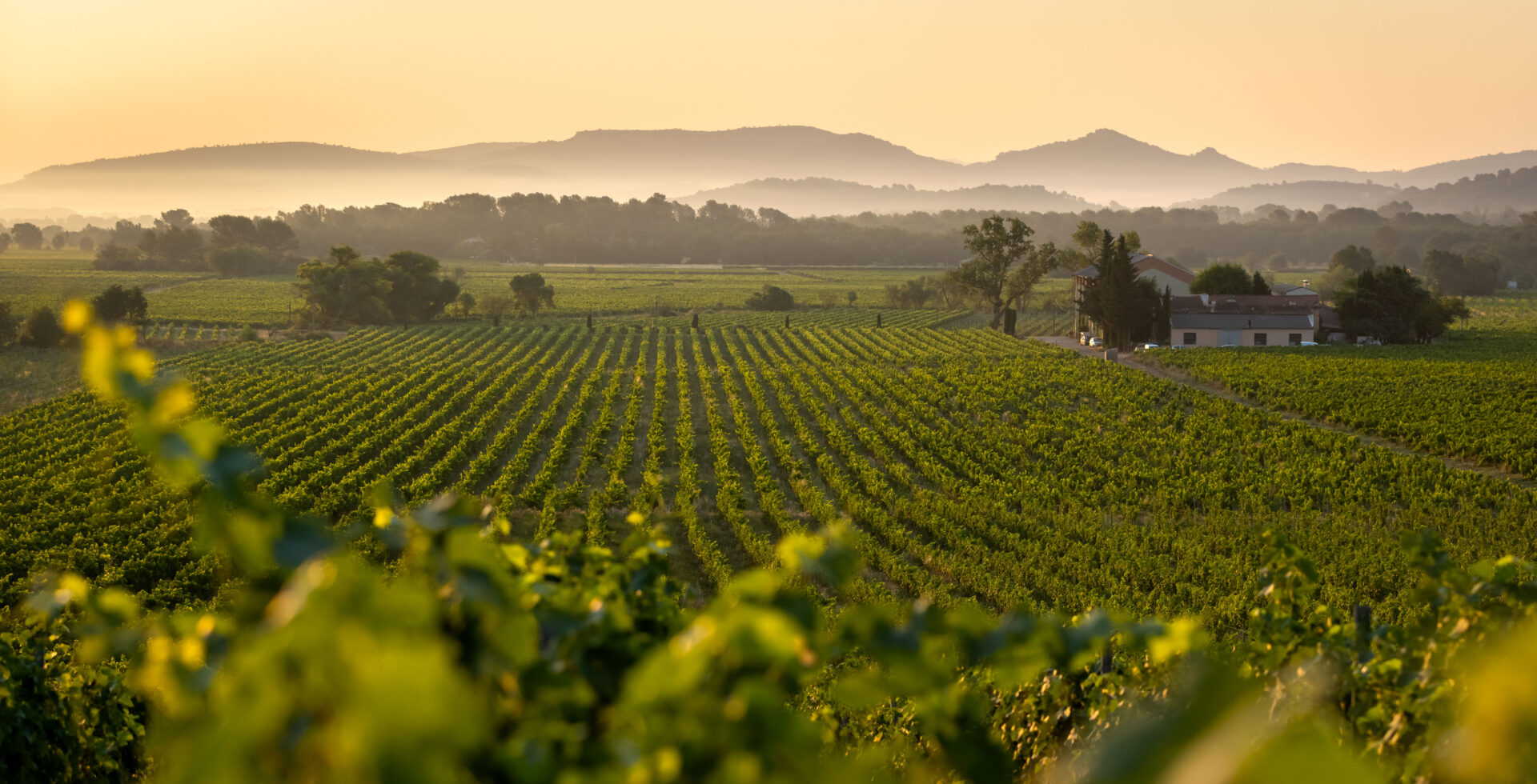 Coteaux Varois en Provence 07-2021 HD-022 ©Hervé FABRE-CIVP