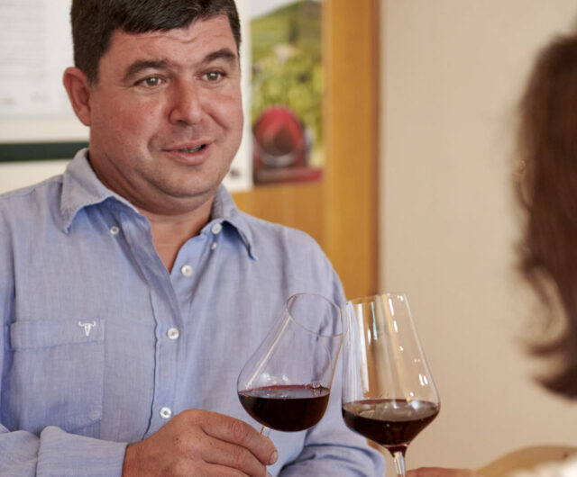 Vignobles en Scène au Domaine des Nugues