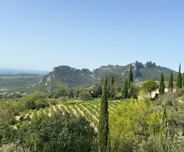 Dentelles miniature