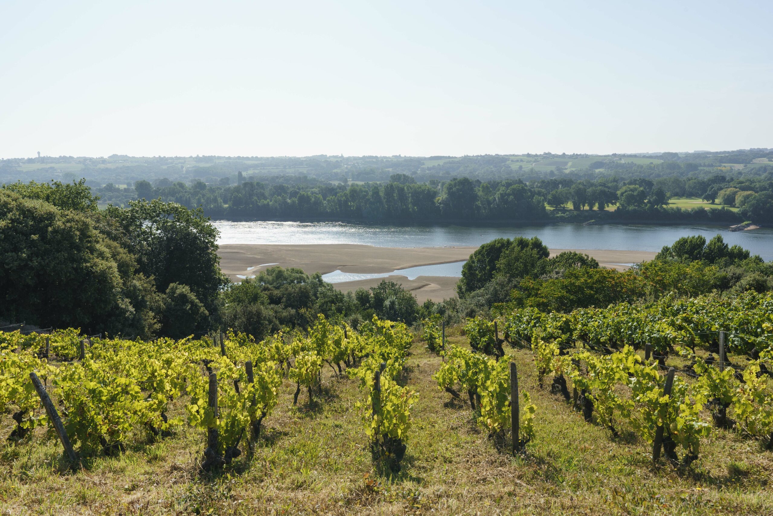 LAD2021-DomaineDesGénaudièresBD©jeremyjehanin2_FindedroitsAout2026