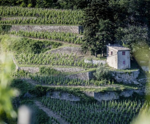 Miniature destination Vallée Rhône nord copyright C Crepseau