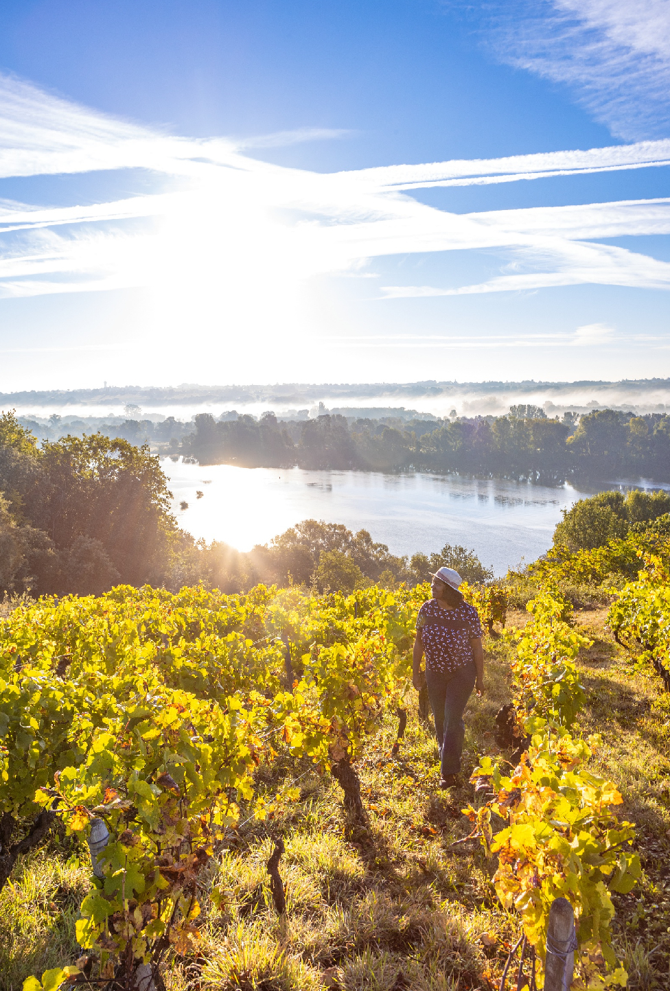 Miniature région Val de Loire