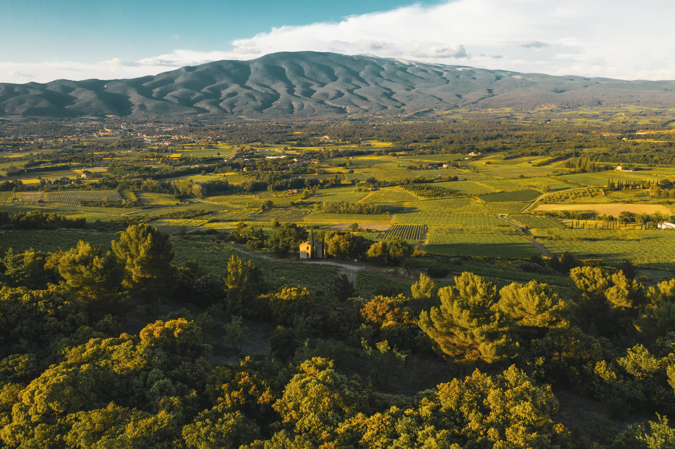 NORMAN-KERGOAT-AOCVENTOUX-2