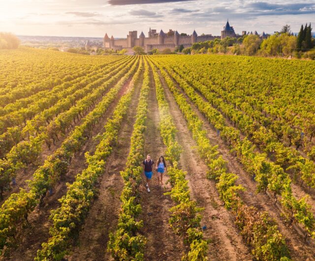 Photo Grands Vins en Grand Carcassonne-credit Vincent photographie Grand carcassonne (2)