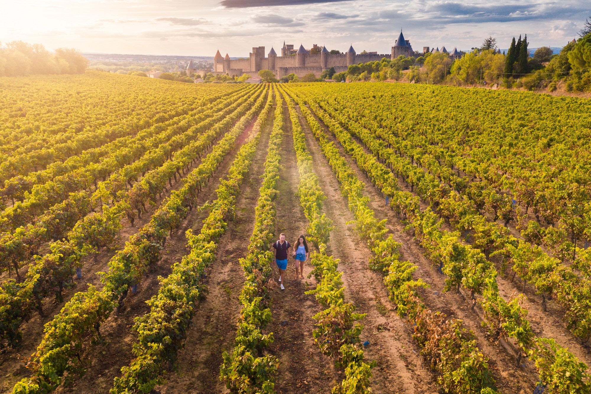 Photo Grands Vins en Grand Carcassonne-credit Vincent photographie Grand carcassonne (2)