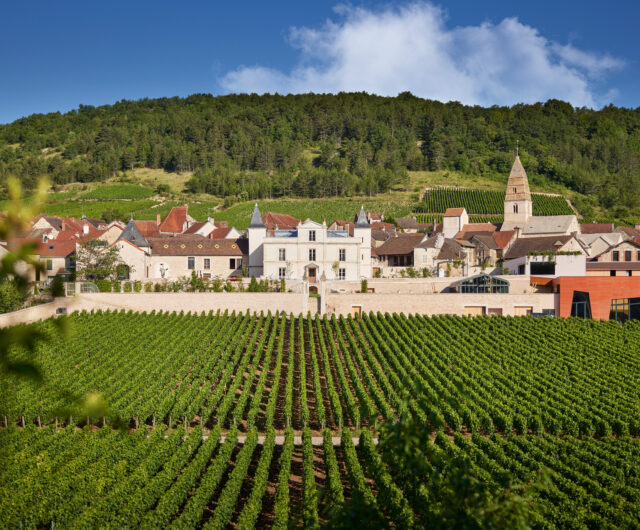 Prosper_Maufoux_S_Chapuis_008
