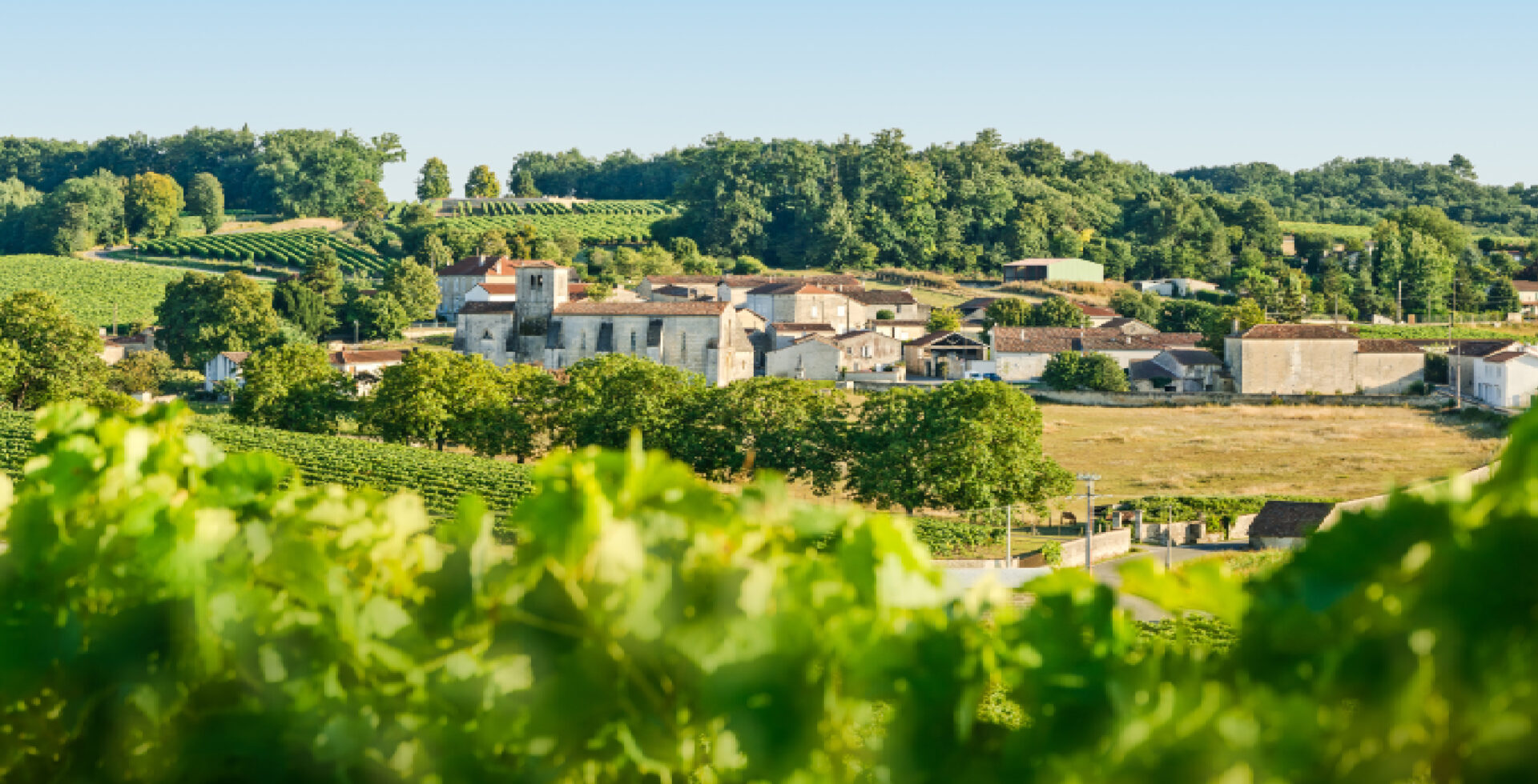 Référents région Charentes