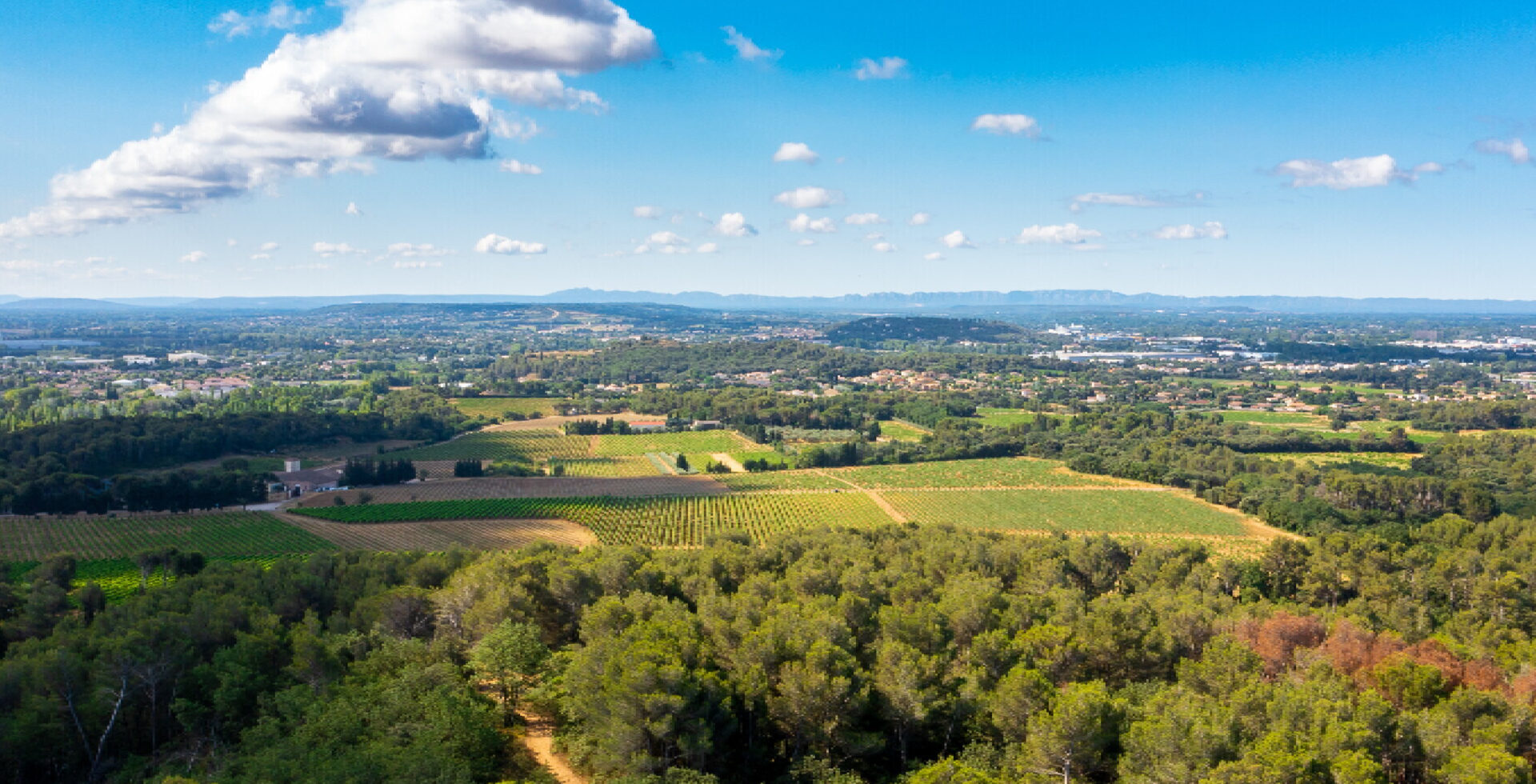 Référents région Vallée du Rhône méridionale