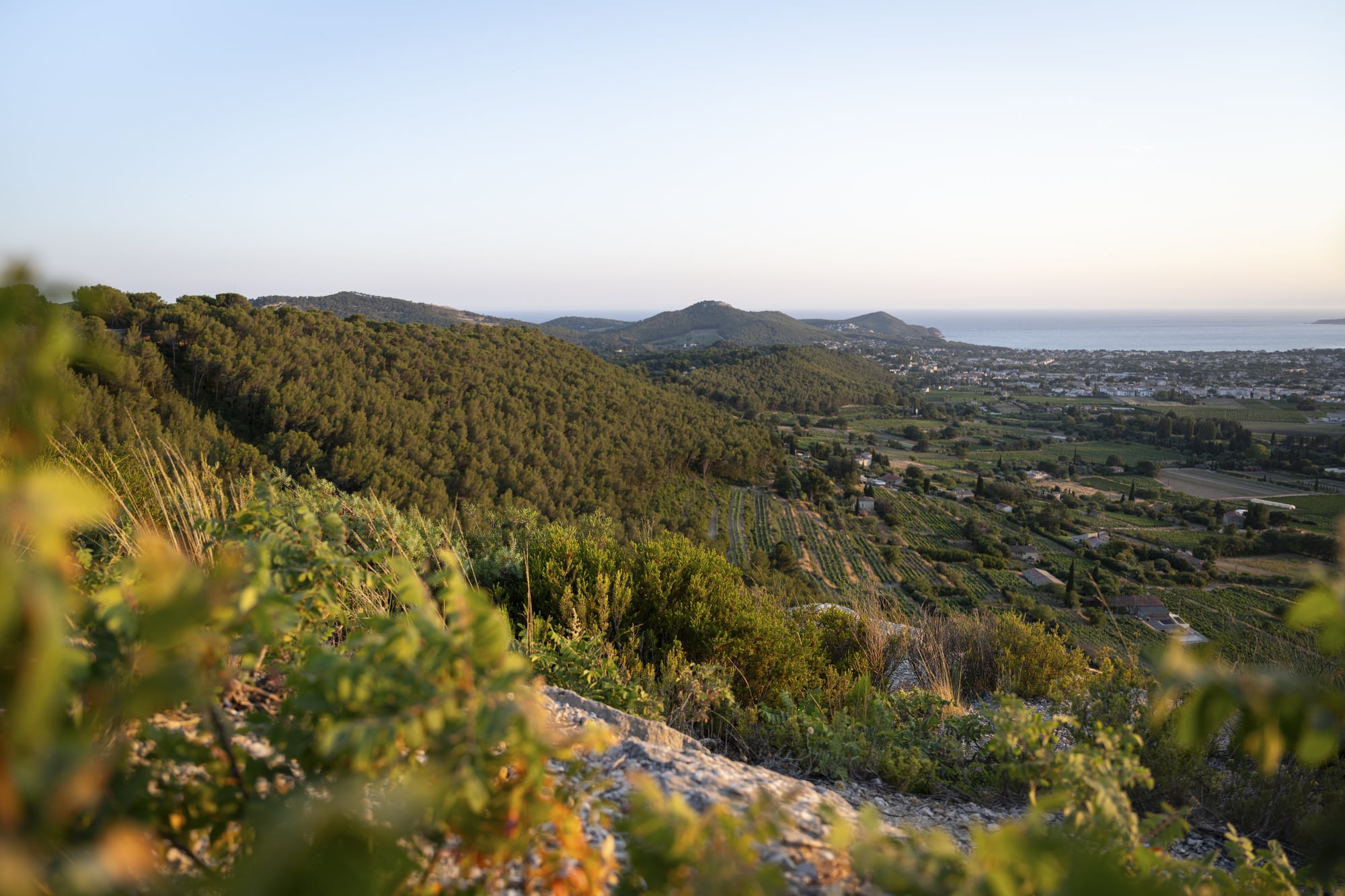 SainteBaume-©InstapadesStudio-2176-2000px
