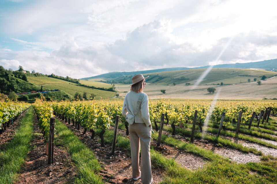 Femme dans les vignobles de Sancerre - val de loire