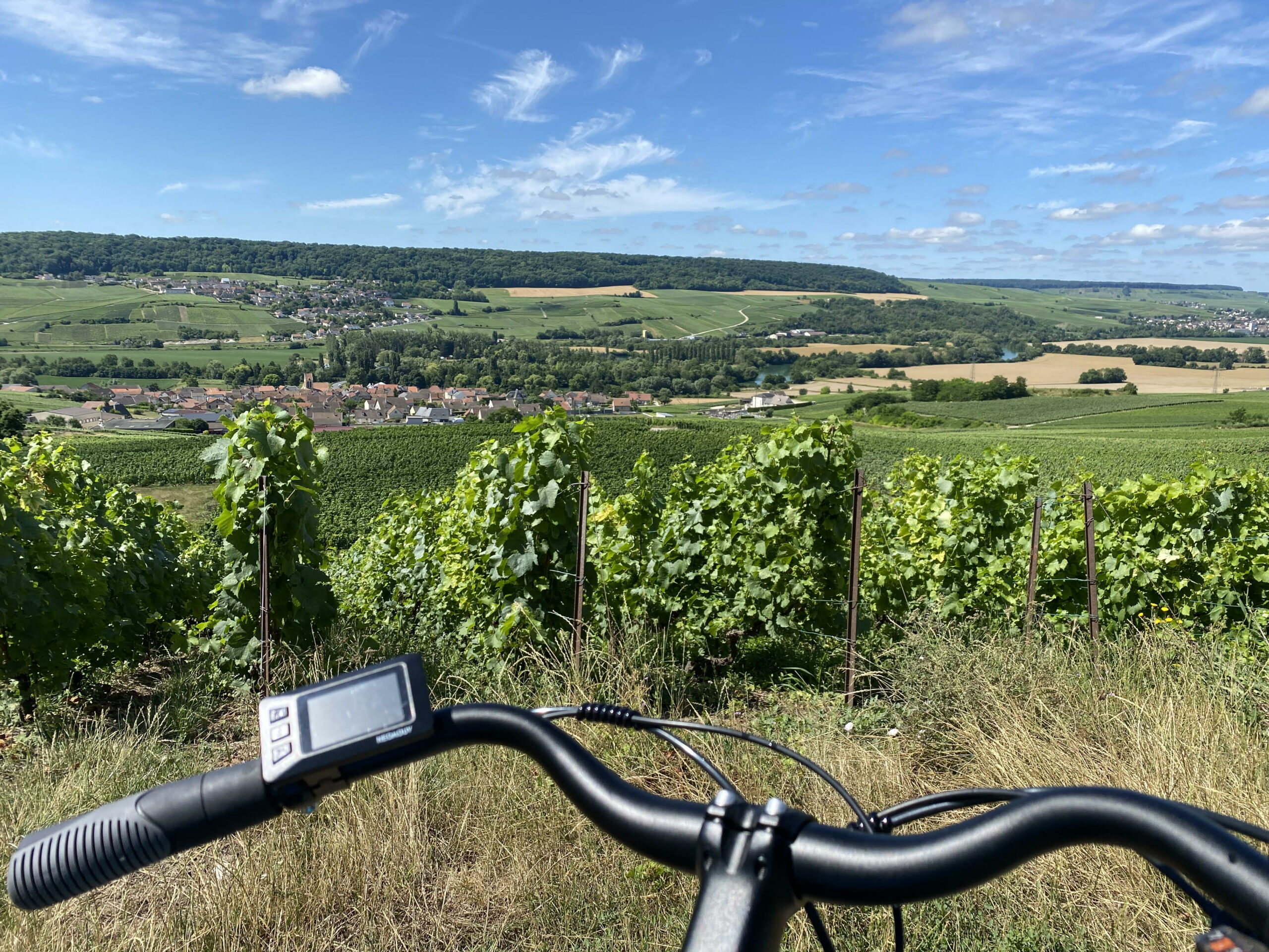 Vallée de la Marne
