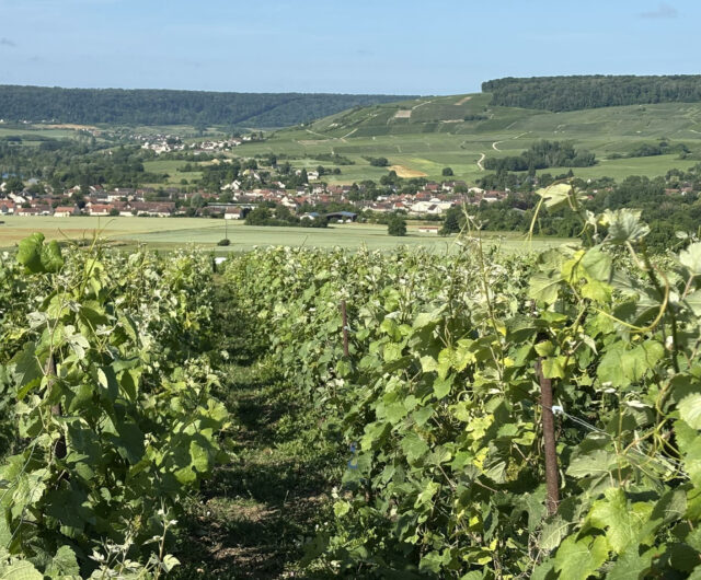 Vallée de la Marne ouest