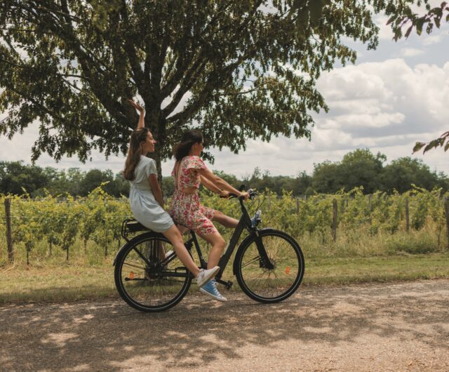 bordeaux