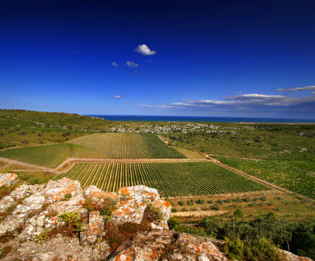 panorama-hospitalitas-credit-photo-gilles-deschamps (12)