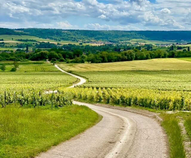vallée de la marne ouest 2©AnnaMeteyer