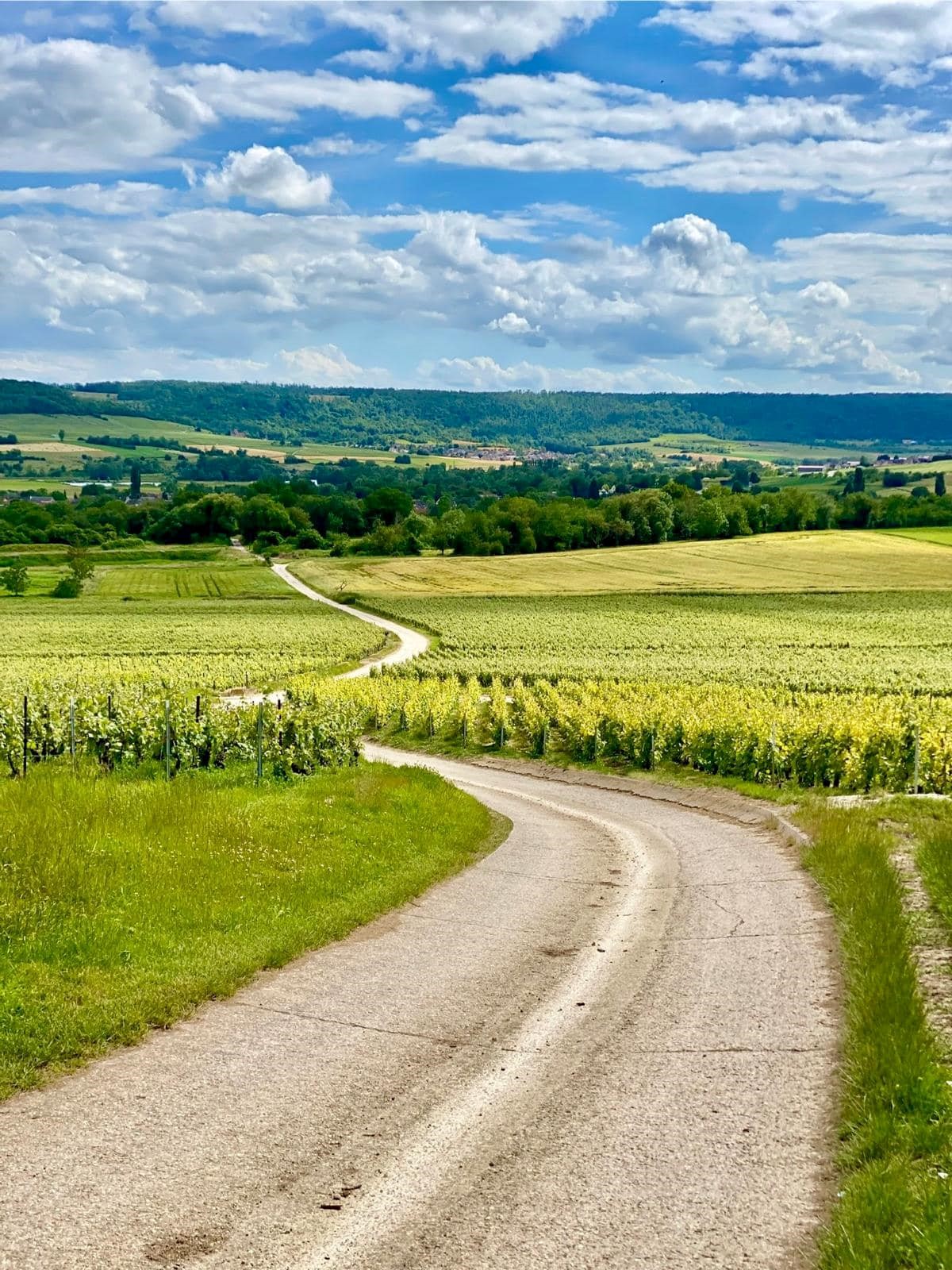 vallée de la marne ouest 2©AnnaMeteyer
