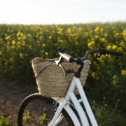 velo-elegant-dans-la-nature