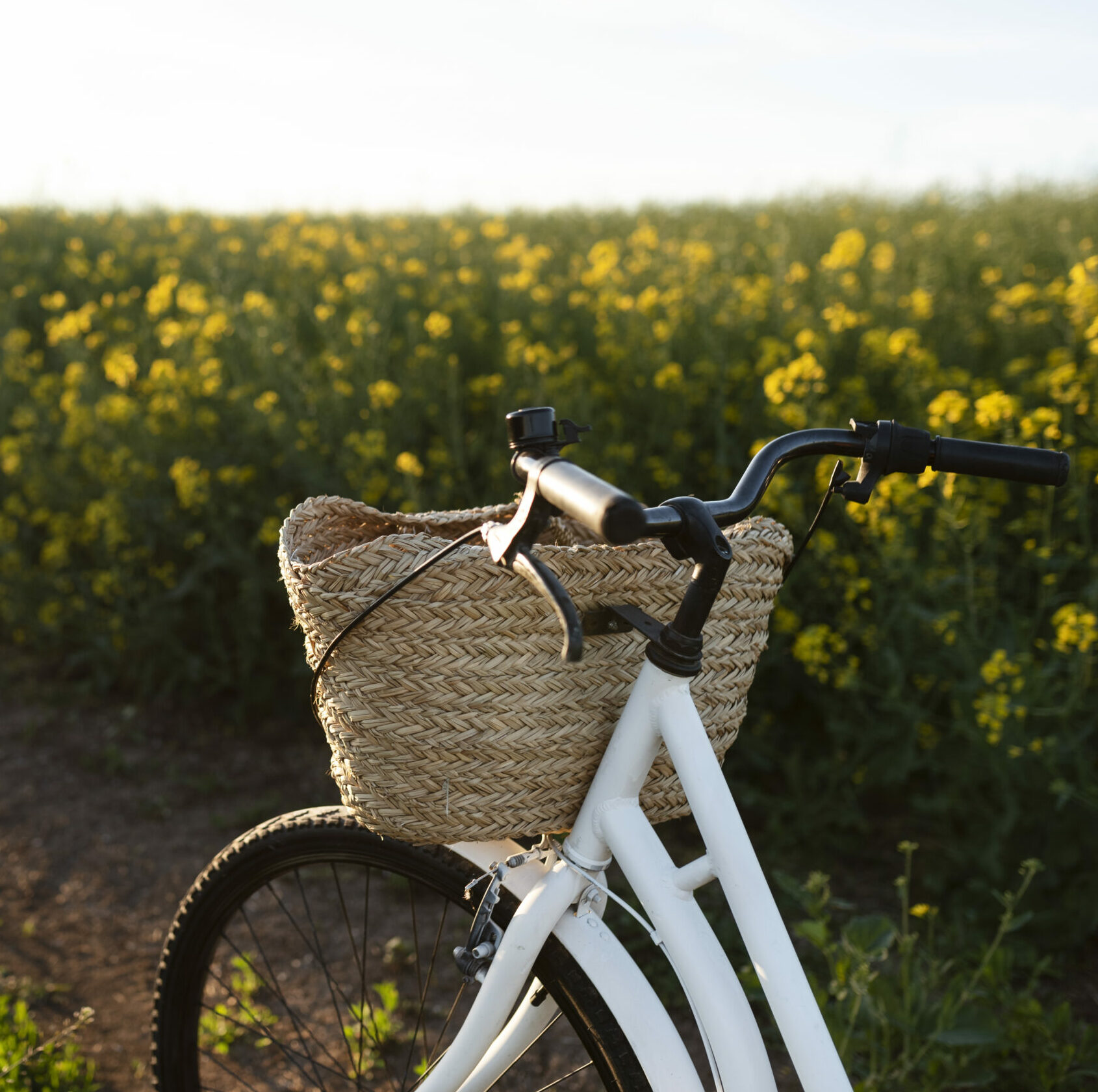 velo-elegant-dans-la-nature