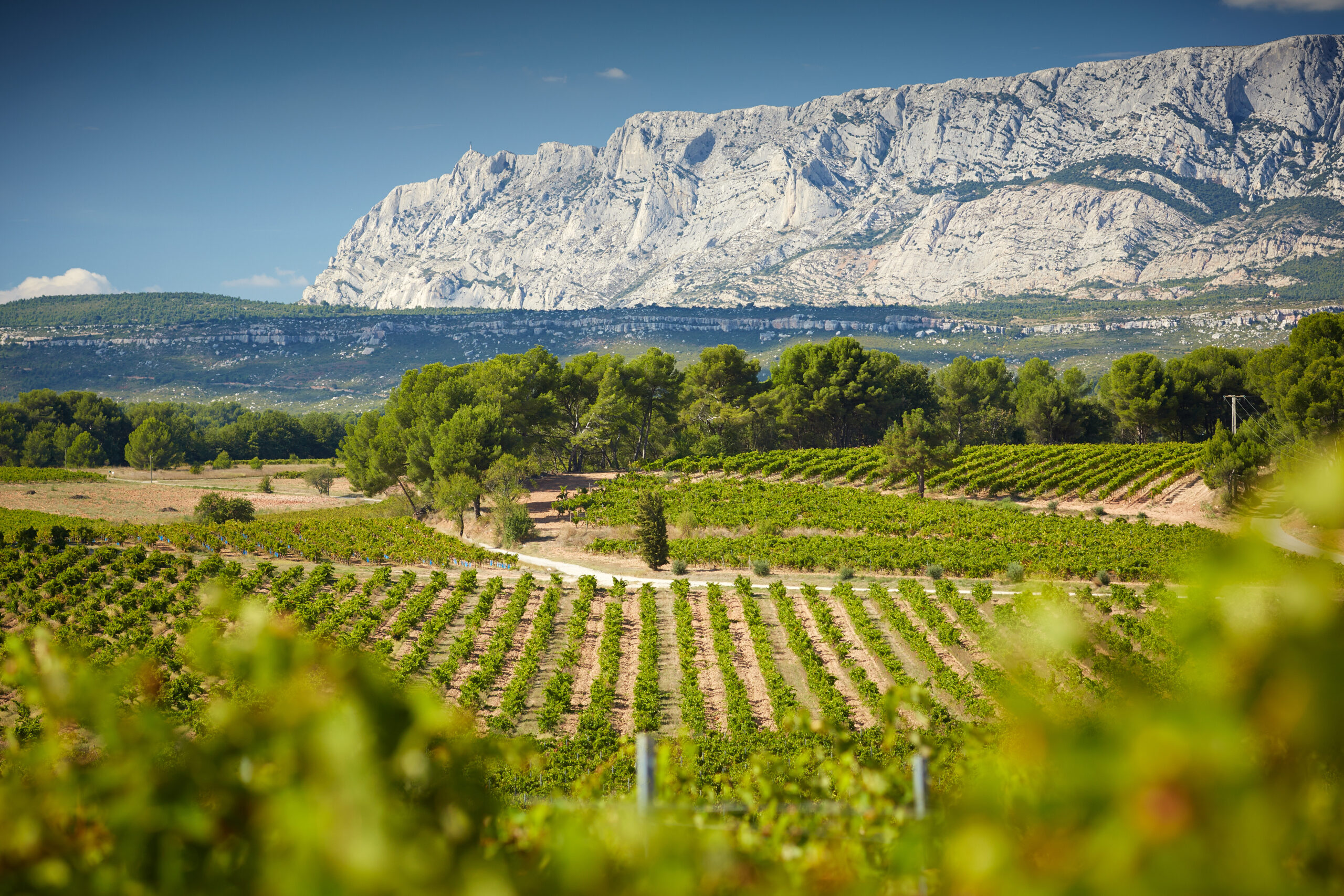 Vignerons de la Sainte Victoire