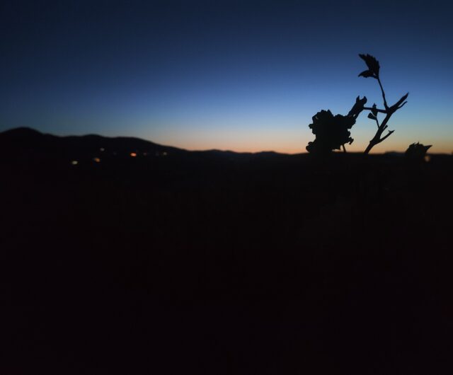 DomainedeRocheCattin