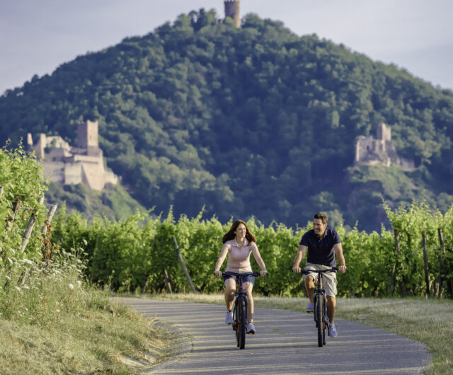 Riquewihr – Vélo en couple – ©Ignacio Haaser – OT Pays de Ribeauvillé et Riquewihr 18