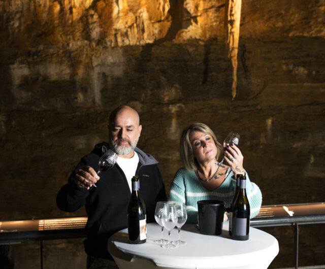 Dégustation en immersion – Vignobles en Scène