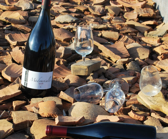 Balade archeo-vigneronne Corent(c) M. Arribart