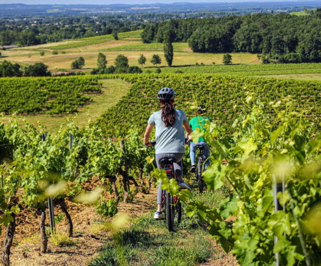 Balade-d’épicuriens-à-vélo-électrique-sur-les-chemins-secrets-du-Gaillacois_Gaillac-©-Raynaud-Photo