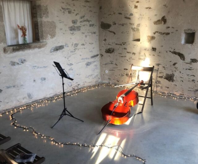 Concert Violoncelliste