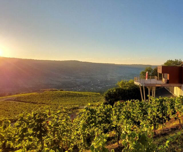 Domaine du Cros 4