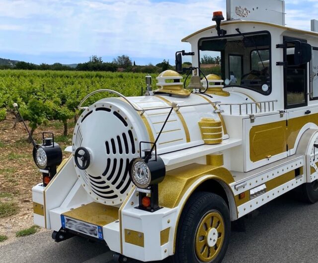 Train_vignes_La_Crau_1_ Vignobles en Scene