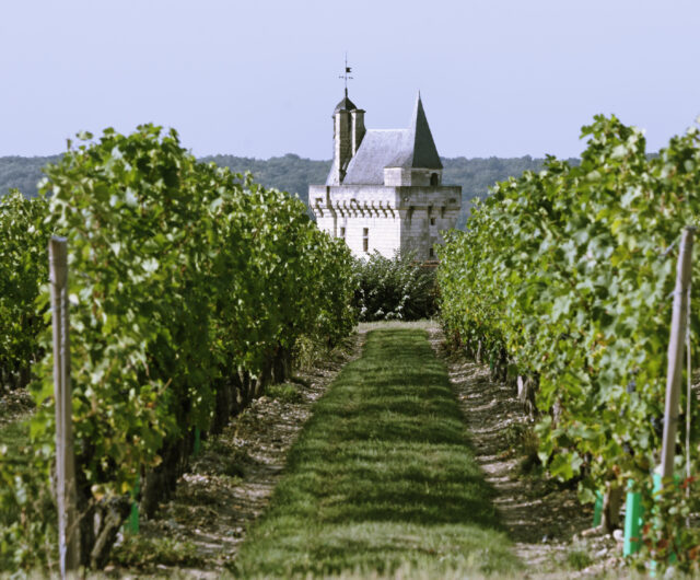 Vignoble et la Tour de l’Horloge de la forteresse royale de Chinon