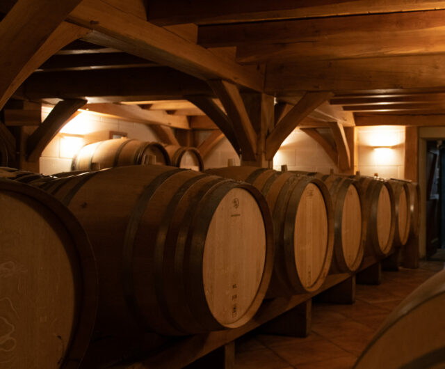 Vinothèque©Domaine_des_petits_quarts