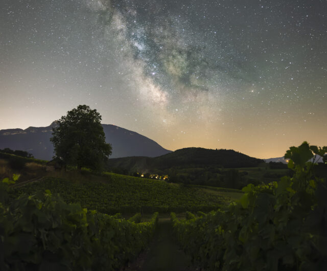 A la croisée des vins et des étoiles