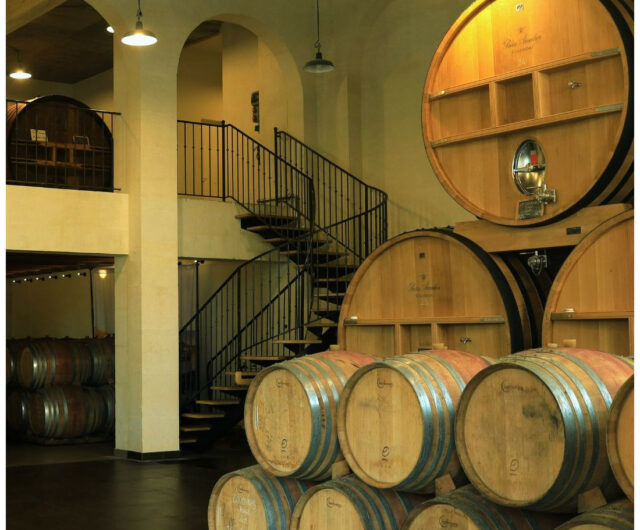 visite-gigondas-vignobles-en-scene