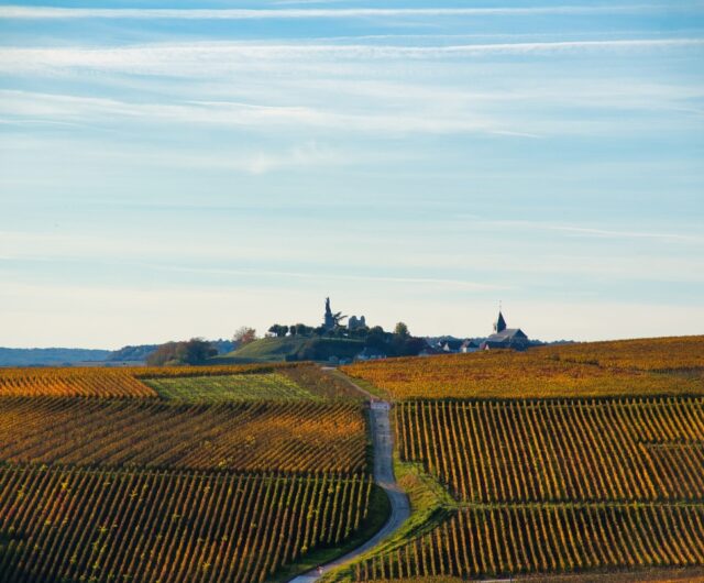 vue-Chatillon-sur-Marne-visuelduo