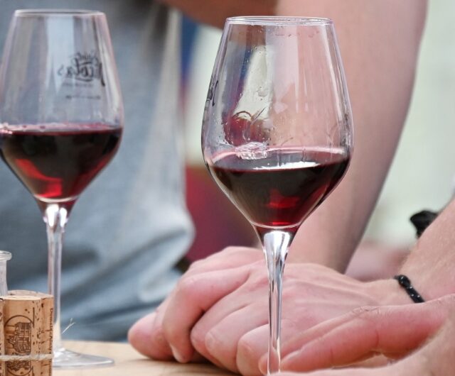 ©vinsdesaintnicolasdebourgueil – reflets de vignes 2025 verres de vins de saint nicolas